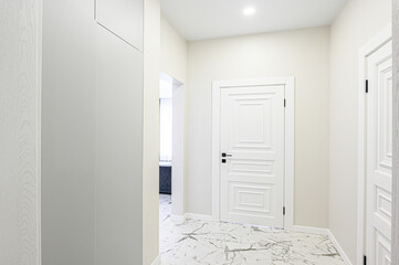 standard room interior apartment. room doors, renovation corridor lobby entrance hall