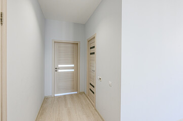 standard room interior apartment. room doors, renovation corridor lobby entrance hall