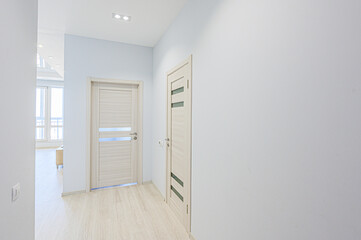 standard room interior apartment. room doors, renovation corridor lobby entrance hall
