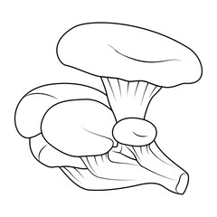 Oyster mushrooms. Hand drawn Line art. Black and white  isolated on white background. Coloring page for kids and adults. Vector illustration.