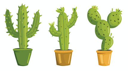 Vector cactus plant or minimalist cactus minimalist isolated