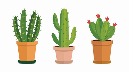 Vector cactus plant or minimalist cactus minimalist isolated
