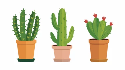 Glasschilderij Cactus in pot Vector cactus plant or minimalist cactus minimalist isolated