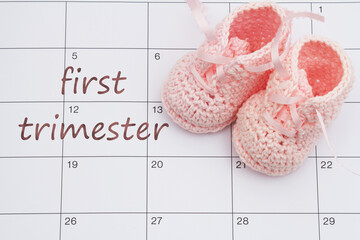 First Trimester message on a calendar with pink baby booties - 775841427