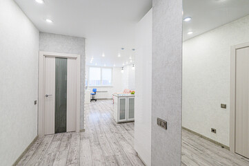 standard room interior apartment. room doors, renovation corridor lobby entrance hall