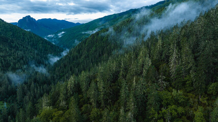 Aerial view of beautiful high altitude forest mountain landscape