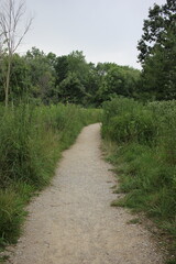 path in the park