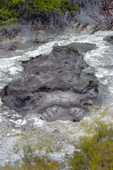 Sulfur springs, volcanic activity, zone of geothermal activity in the Rotorua region North Island of New Zealand