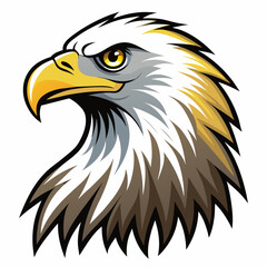 eagle--on-a-white-background--no-background