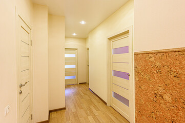 standard room interior apartment. room doors, renovation corridor lobby entrance hall