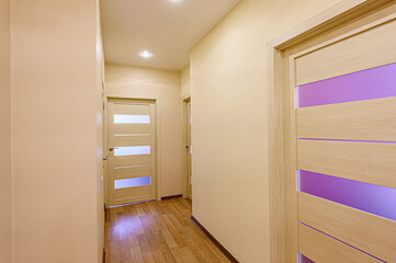 standard room interior apartment. room doors, renovation corridor lobby entrance hall