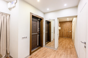 standard room interior apartment. room doors, renovation corridor lobby entrance hall