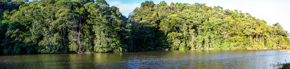 Panoramica do Rio com Mata