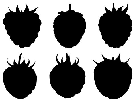 Raspberry silhouette vector art white background