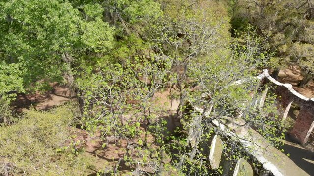 Beautiful aerial view of Old Sheldon Church and surrounding forest, South Carolina
