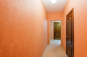 standard room interior apartment. room doors, renovation corridor lobby entrance hall