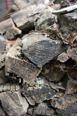 Pile of firewood.
