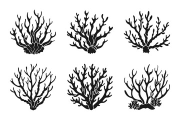 Set of coral reefs or algae, underwater plants. Set of sea coral icons. Black silhouette. Vector
