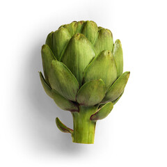 delicious green artichoke for food ingredient with transparent background and shadow