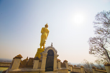 Golden buddha statue stand on mountain temple look to city - 775880663
