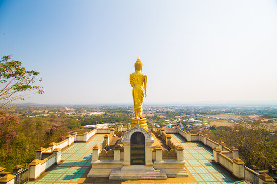 Golden buddha statue stand on mountain temple look to city