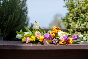 tulips displayed on garden table - 775883437