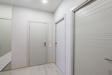 Fototapeta na wymiar standard room interior apartment. room doors, renovation corridor lobby entrance hall