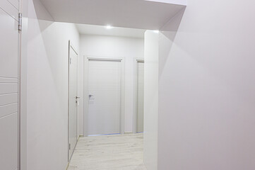 standard room interior apartment. room doors, renovation corridor lobby entrance hall
