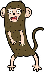 cartoon crazy monkey