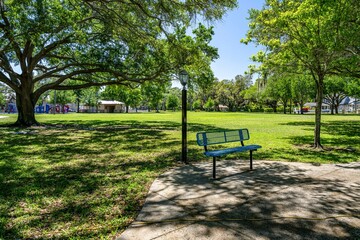 Naklejka premium palmetto, florida