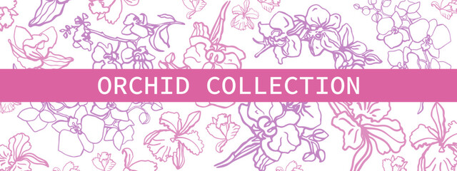 Isolated hand drawn vector orchid flowers.Outline sketch.Pink and purple orchid flower branch with buds and flowers. Romantic. Floral banner.	