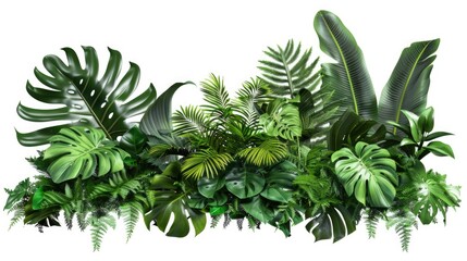 Group of tropical plants on a plain white background. Ideal for botanical illustrations or home decor themes