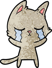 crying cartoon cat