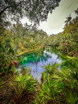 Blue Springs State Park in mid-November before closing for manatee season, Volusia County, Florida