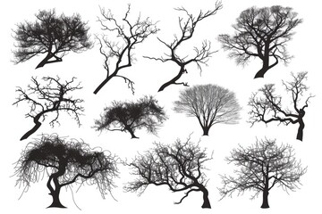 Sparse leafless trees in a winter forest. Suitable for seasonal or nature-themed projects - obrazy, fototapety, plakaty