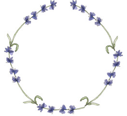 Watercolor lavender wildflowers wreath illustration, meadow flowers frame clipart - 775898292