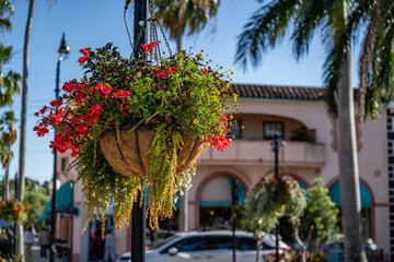 venice, florida