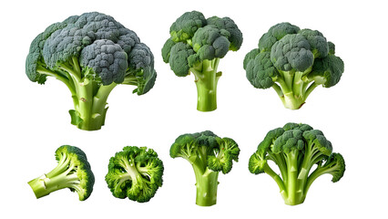 Explore a mouthwatering collection of delicious broccoli on a transparent background. Perfect for healthy eating, recipes, and culinary designs.