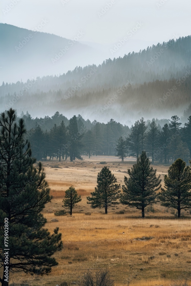 Poster misty forest with trees in background. suitable for nature themes