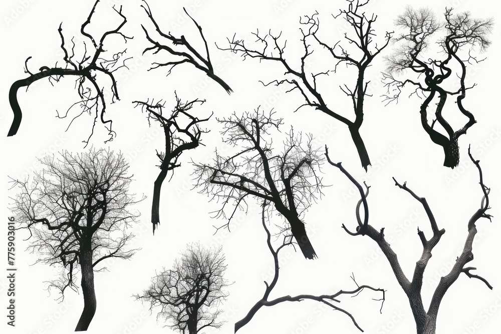 Aufkleber Minimalist black and white image of leafless trees against a clear sky. Suitable for various graphic design projects