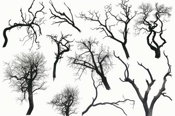 Fototapeta na wymiar Minimalist black and white image of leafless trees against a clear sky. Suitable for various graphic design projects