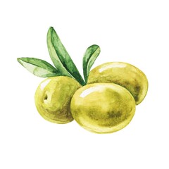 Olives food watercolour illustration on white 