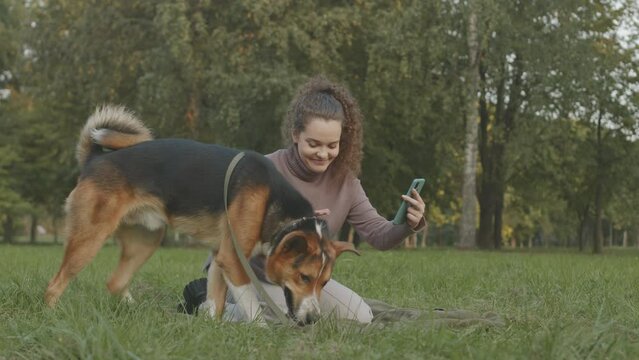 Young joyful Caucasian woman taking selfie photo or recording video with her lovely mixed breed dog, resting together on green grass in park at daytime