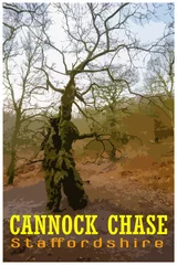 Deurstickers WPA inspired retro travel poster of Cannock Chase, Staffordshire, UK. © Rob Thorley