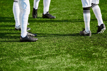 Obraz premium A diverse group of individuals stands united on the lush green field, their faces filled with joy and awe. 