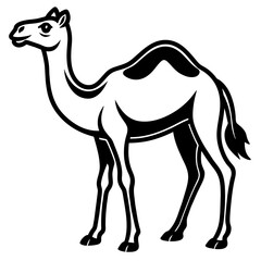 simple camel vector design 