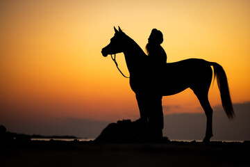 horse silhouette at sunset