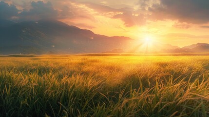 Obraz na płótnie Canvas Green fields at sunset.AI generated image