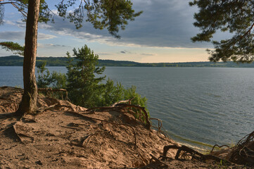 The steep, sandy riverbank, the roots of pine trees growing on the shore crawl out of the sand, clouds in the sky, and on the surface of a large river there are light ripples from the wind