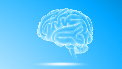 Human Organ Brain 3d illustration